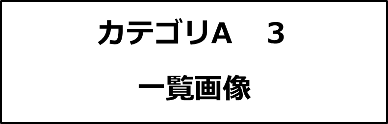 カテゴリA３