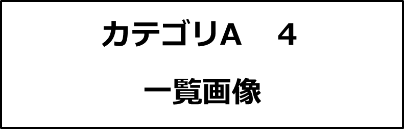 カテゴリA４