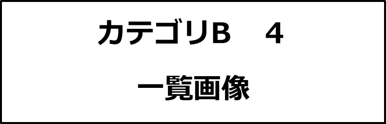 カテゴリB４