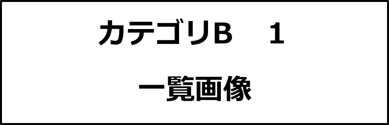 カテゴリB１