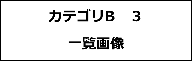 カテゴリB３