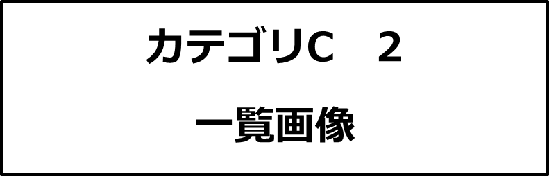 カテゴリC２